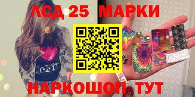 гидропоника Новокубанск