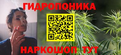 мет Новозыбков
