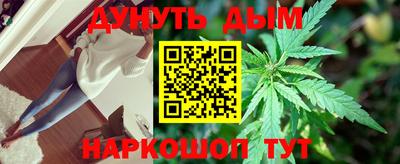 гидропоника Новокубанск