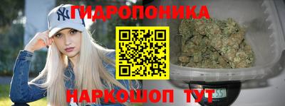 гидропоника Новокубанск