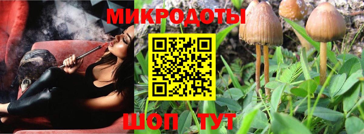 Псилоцибиновые грибы мухоморы Таганрог